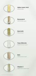 SPADRA Antioxidant Pack ingredients