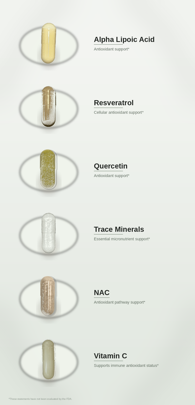 SPADRA Antioxidant Pack