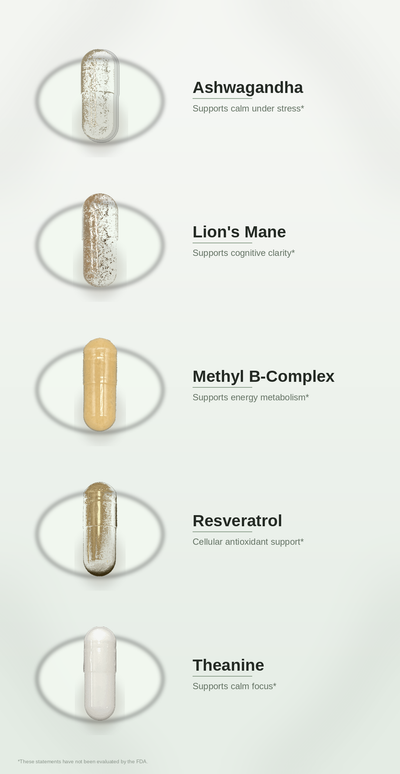 SPADRA Brain Pack