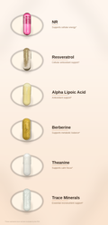 SPADRA Fasting Support Pack ingredients