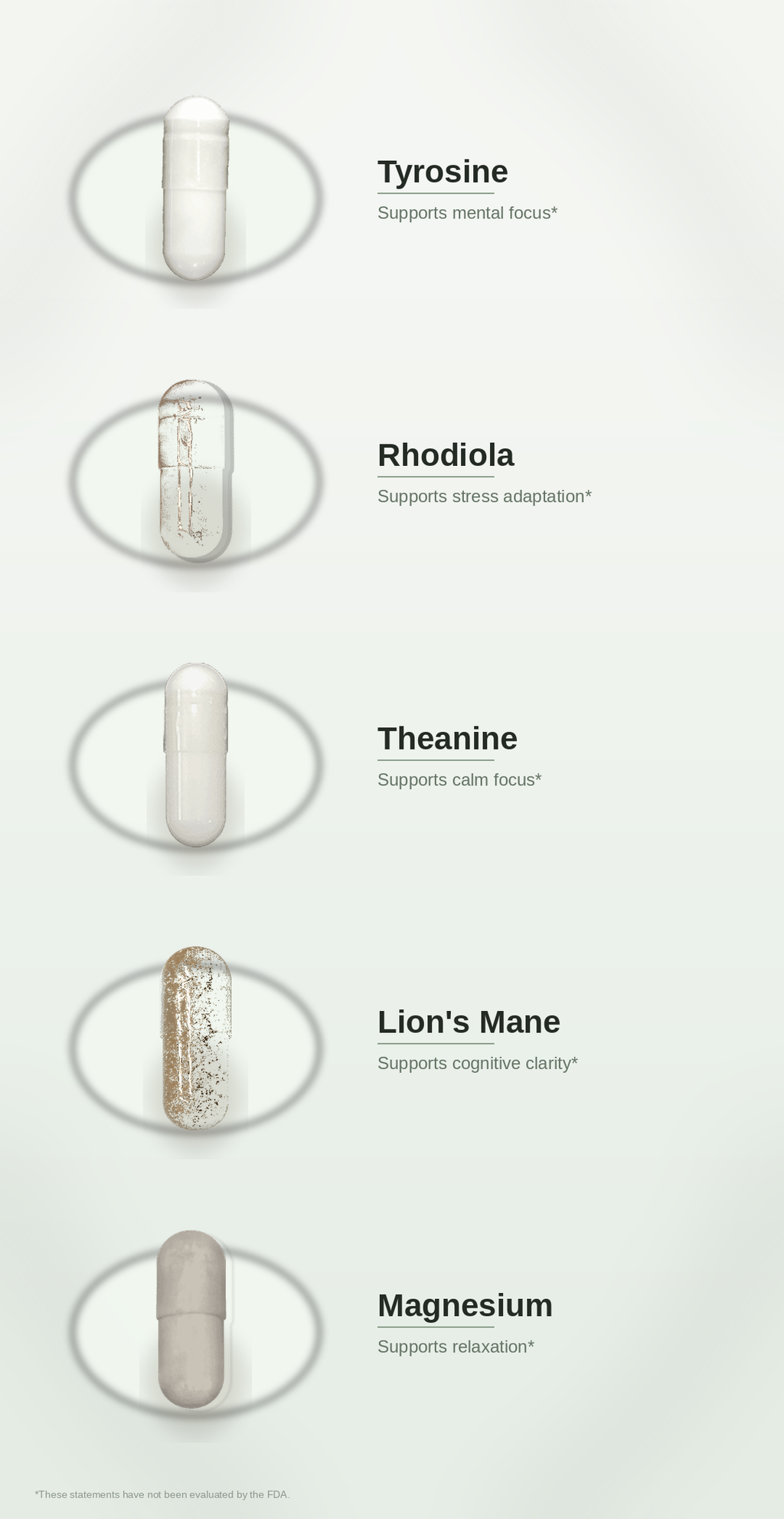 SPADRA Focus Pack ingredients