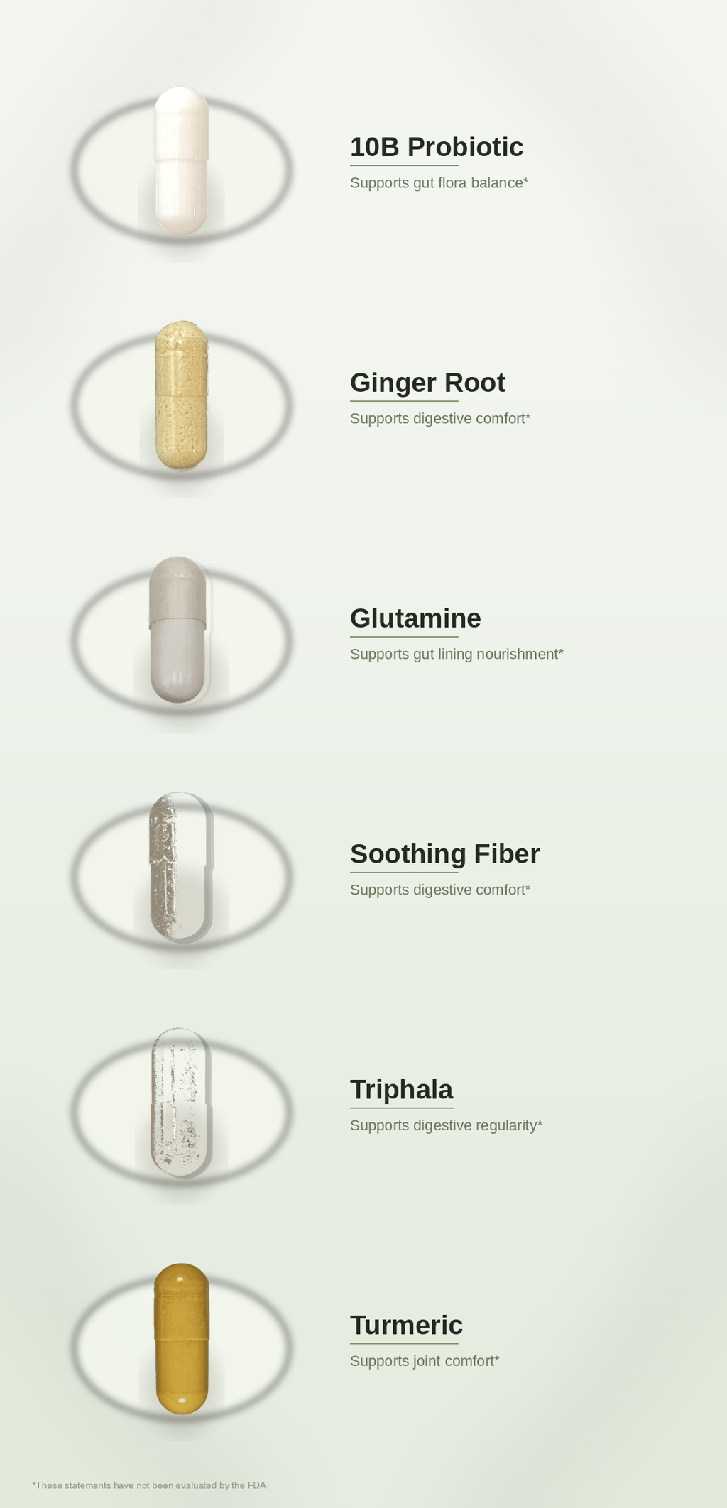 SPADRA GLP-1 Gut Companion Pack ingredients