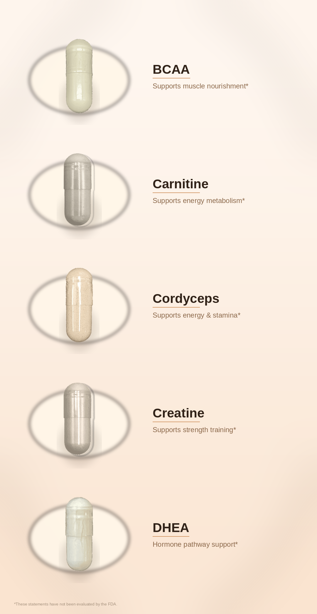 SPADRA GLP-1 Muscle Companion Pack ingredients
