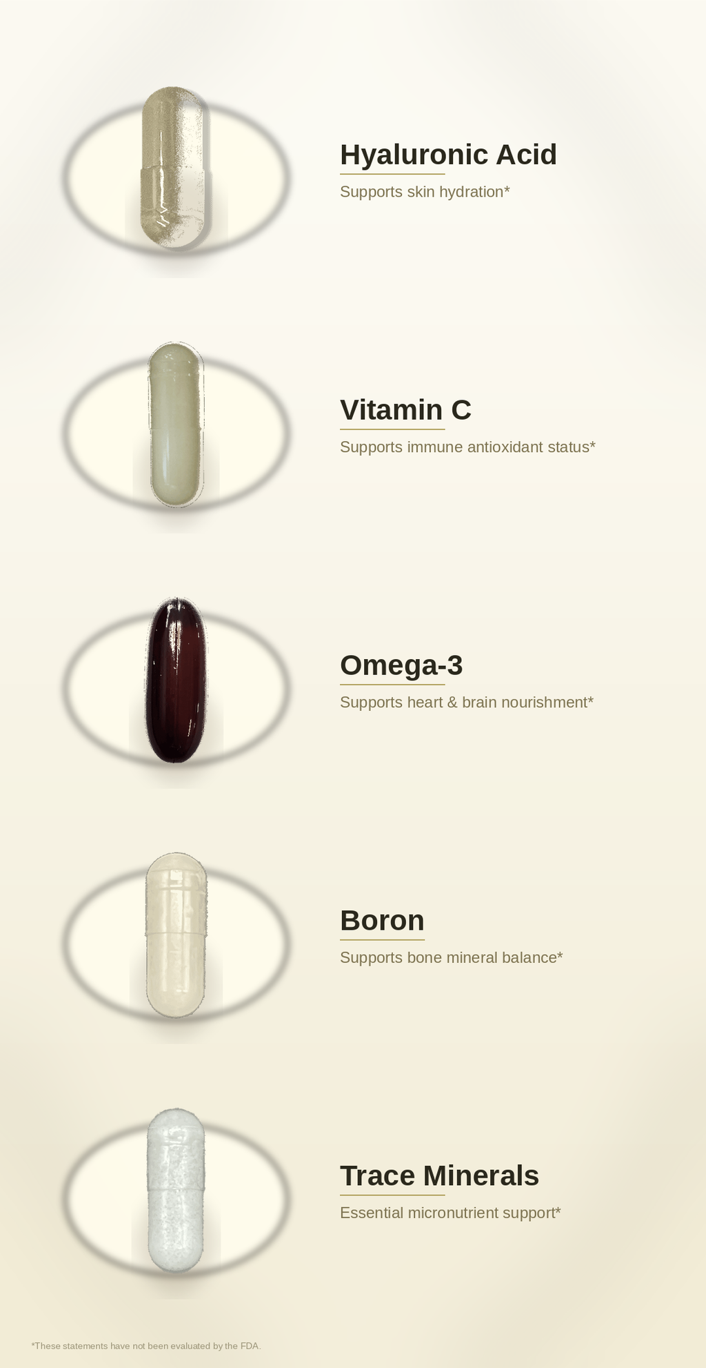 SPADRA Joint Comfort Nutrient Pack ingredients