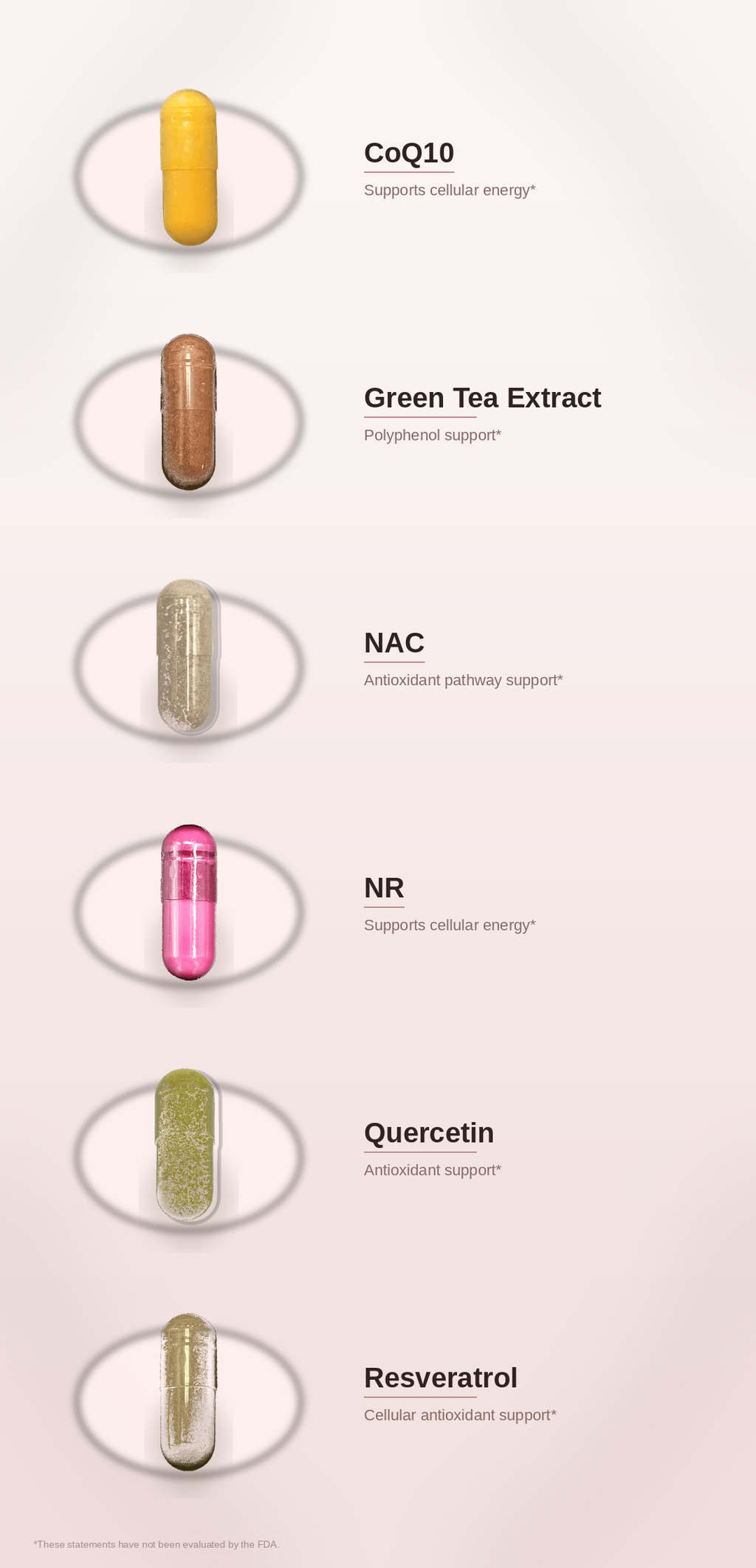 SPADRA NAD+ Nutrient Pack ingredients
