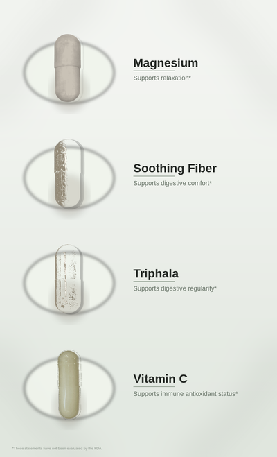 SPADRA Mold Detox PM Pack