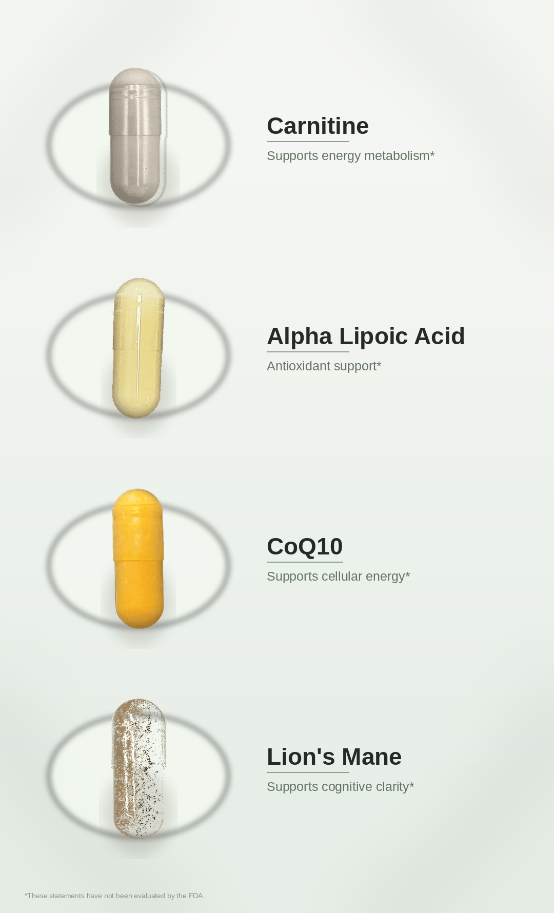 SPADRA Nerve Nutrient Pack ingredients
