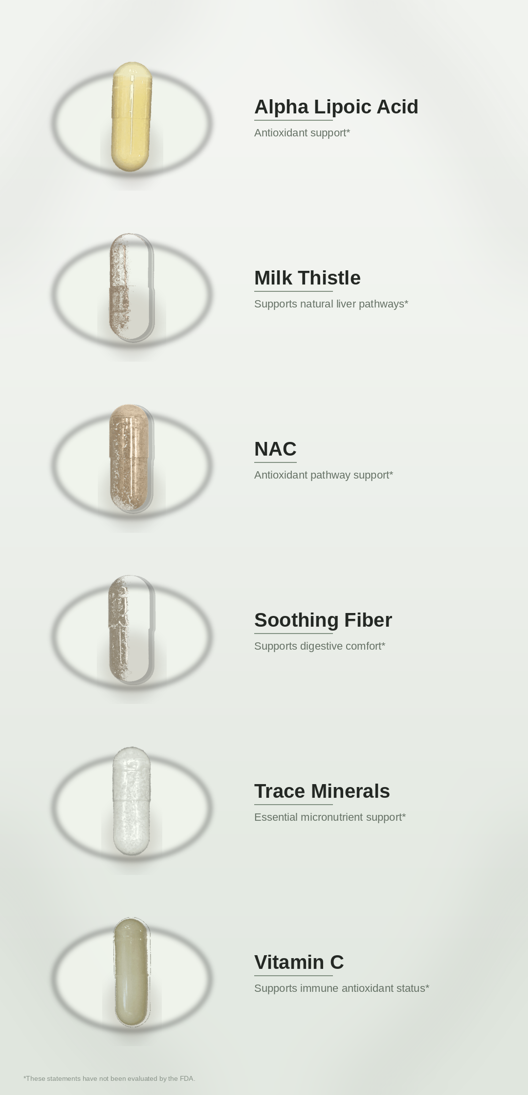 SPADRA Toxin Detox Pack ingredients